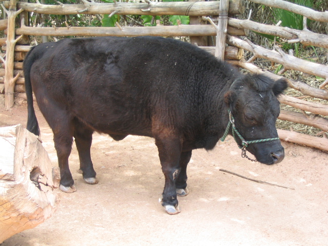 618x457 pixels (202K)